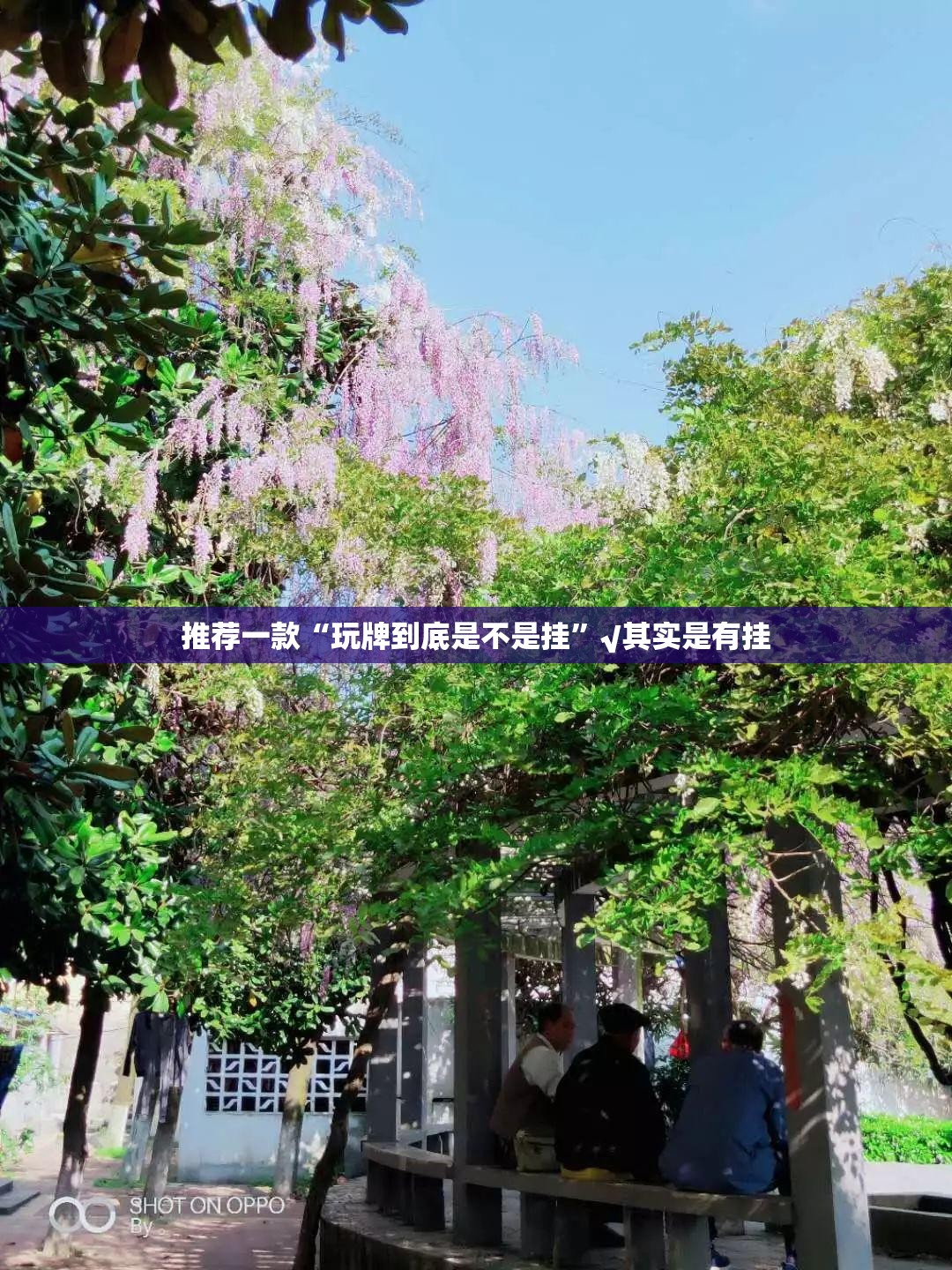 推荐一款“玩牌到底是不是挂”√其实是有挂