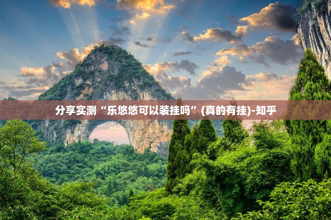 分享实测“乐悠悠可以装挂吗”(真的有挂)-知乎