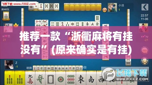 推荐一款“浙衢麻将有挂没有”(原来确实是有挂)