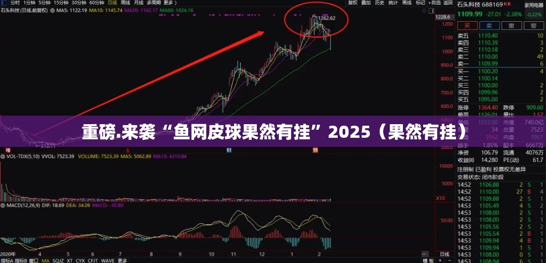 重磅.来袭“鱼网皮球果然有挂”2025（果然有挂）
