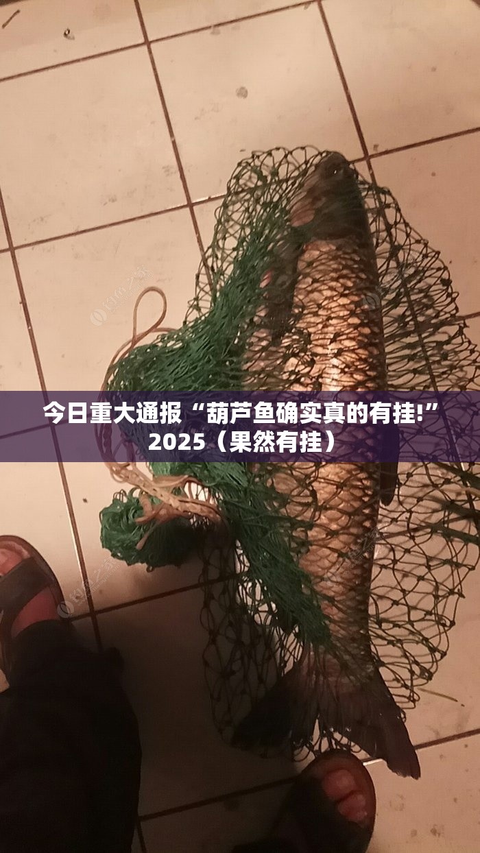 分享实测新蜜瓜大厅有挂没原来真可以开挂