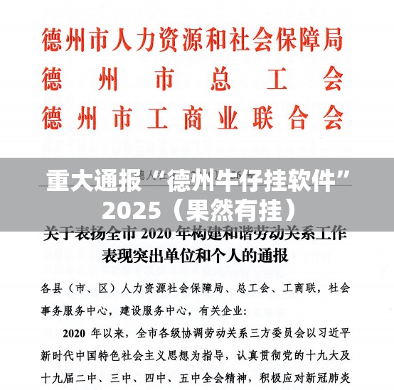 重大通报“德州牛仔挂软件”2025（果然有挂）
