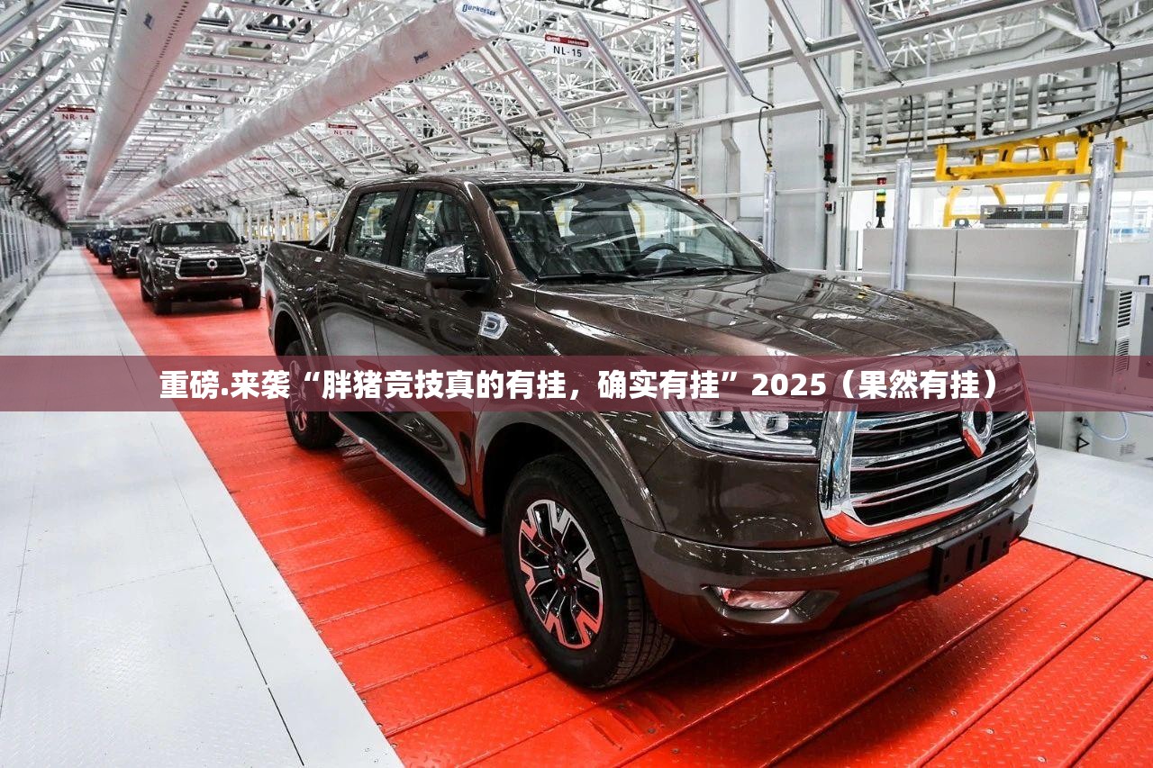 重磅.来袭“胖猪竞技真的有挂，确实有挂”2025（果然有挂）