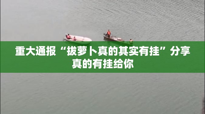 重磅.来袭家乡大贰有没有挂确实有挂√曝光透视猫腻