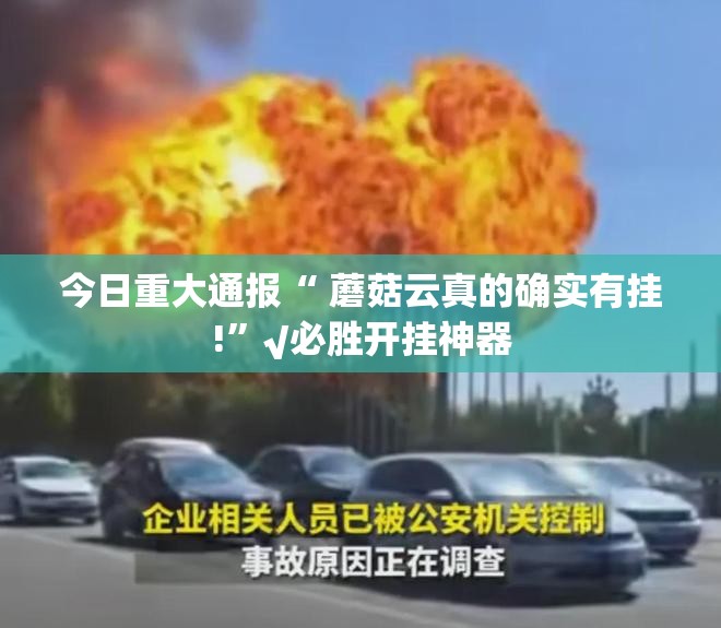 分享实测榆林打锅子可以开挂吗√曝光透视猫腻
