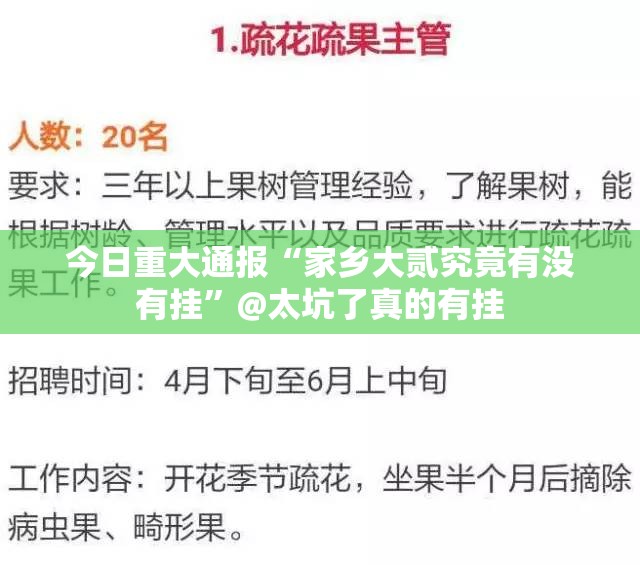 今日重大通报“家乡大贰究竟有没有挂”@太坑了真的有挂