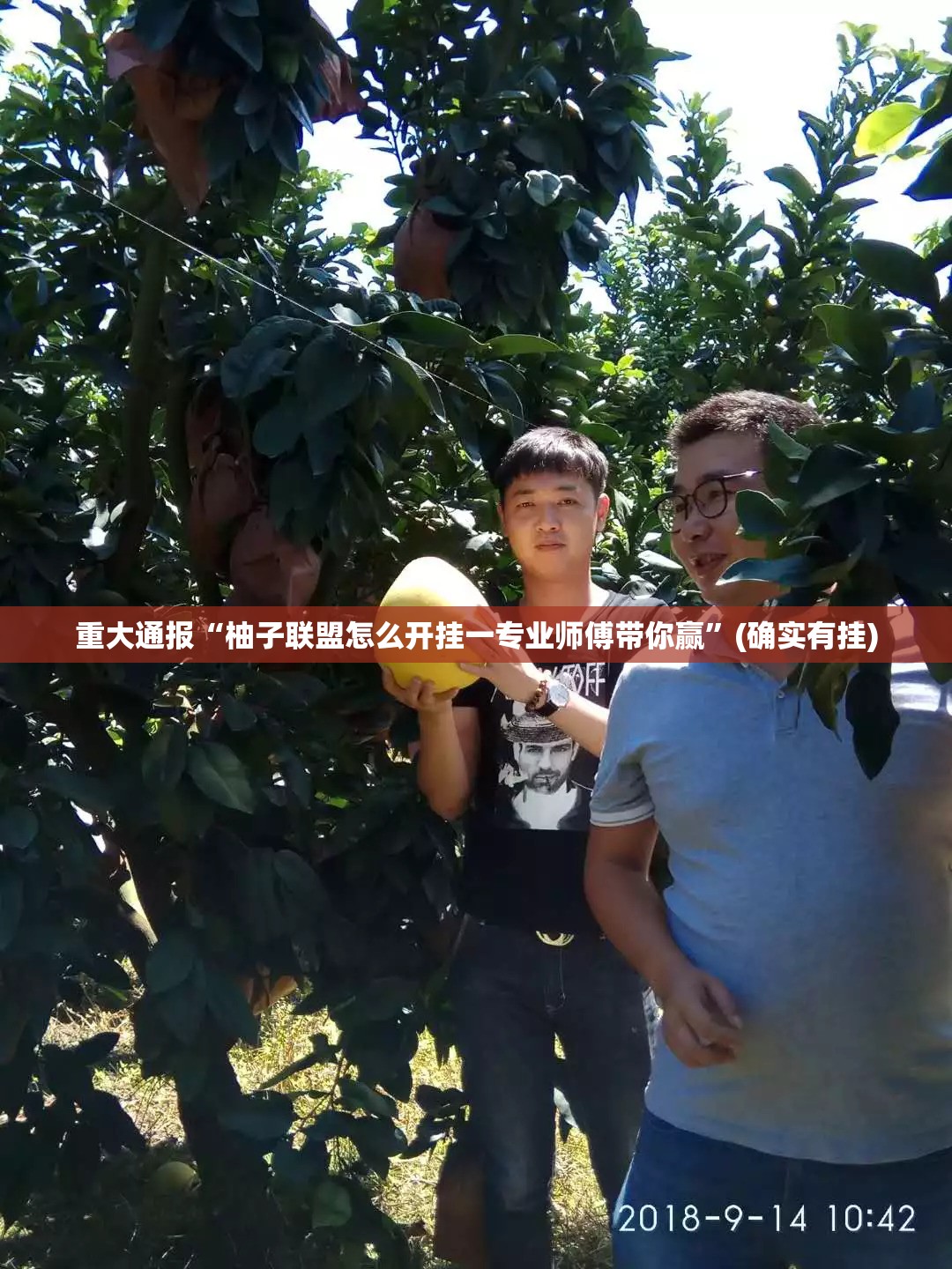 推荐一款鄂州晃晃开挂辅助!详细开挂教程√曝光透视猫腻