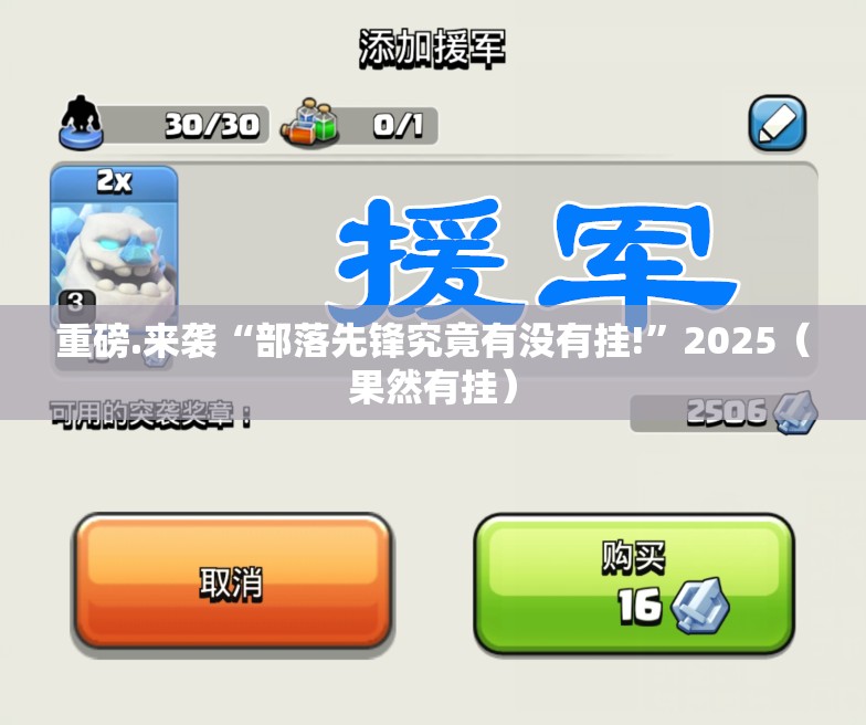重磅.来袭“部落先锋究竟有没有挂!”2025（果然有挂）