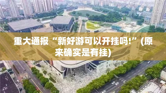 重大通报“新好游可以开挂吗!”(原来确实是有挂)
