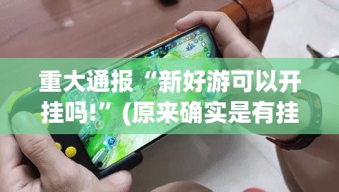 重大通报“新好游可以开挂吗!”(原来确实是有挂)
