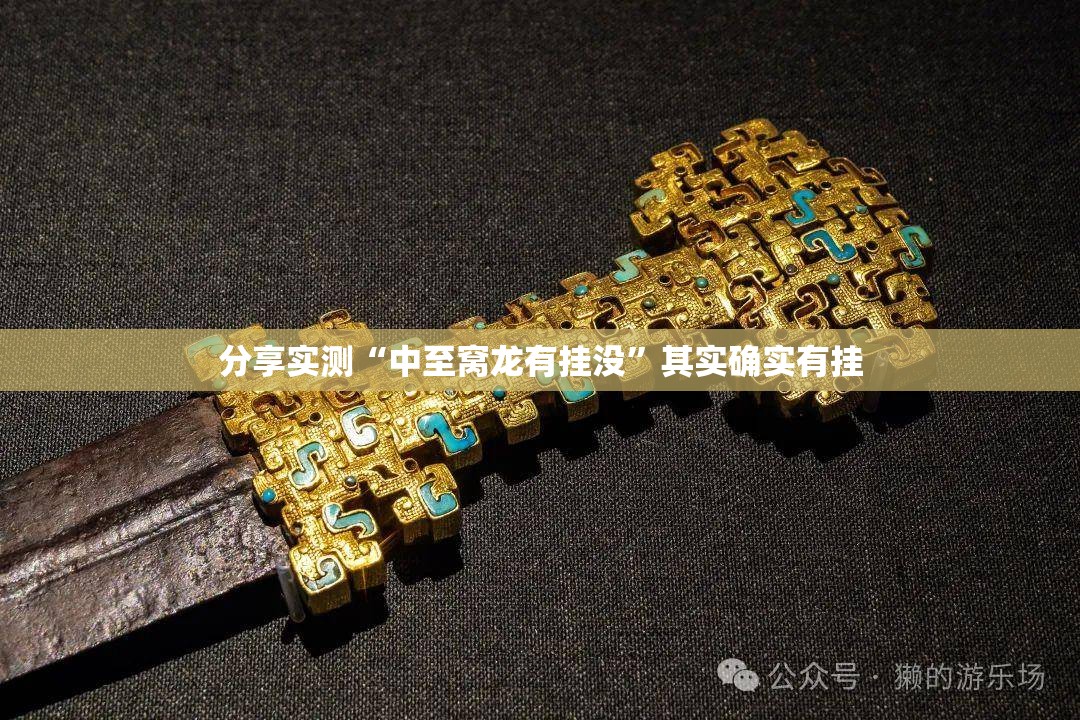 分享实测“中至窝龙有挂没”其实确实有挂