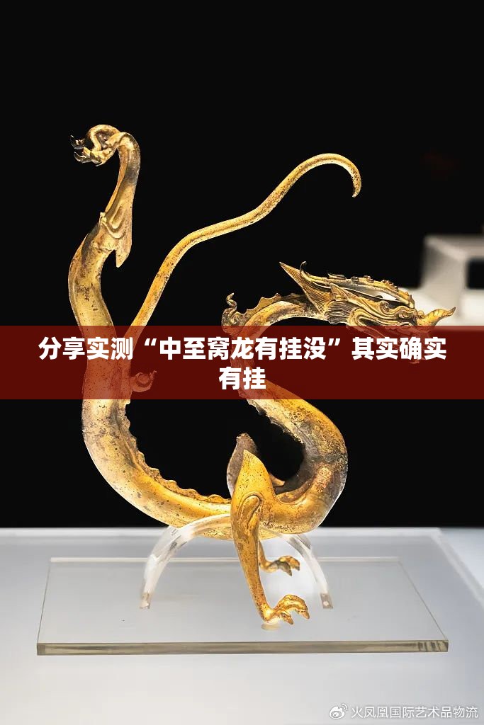 分享实测“中至窝龙有挂没”其实确实有挂