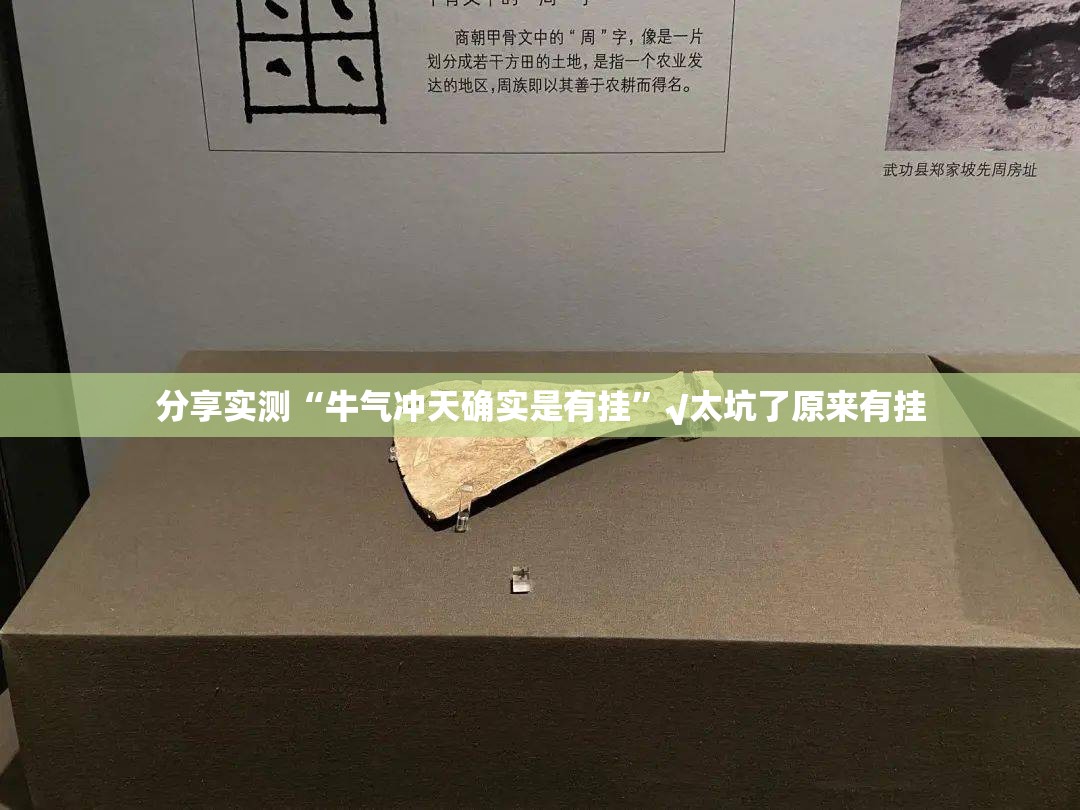 分享实测博雅曲靖棋牌是不是真的有挂2025@太坑了真的有挂 分享实测博雅曲靖棋牌是不是真的有挂2025@太坑了真的有挂