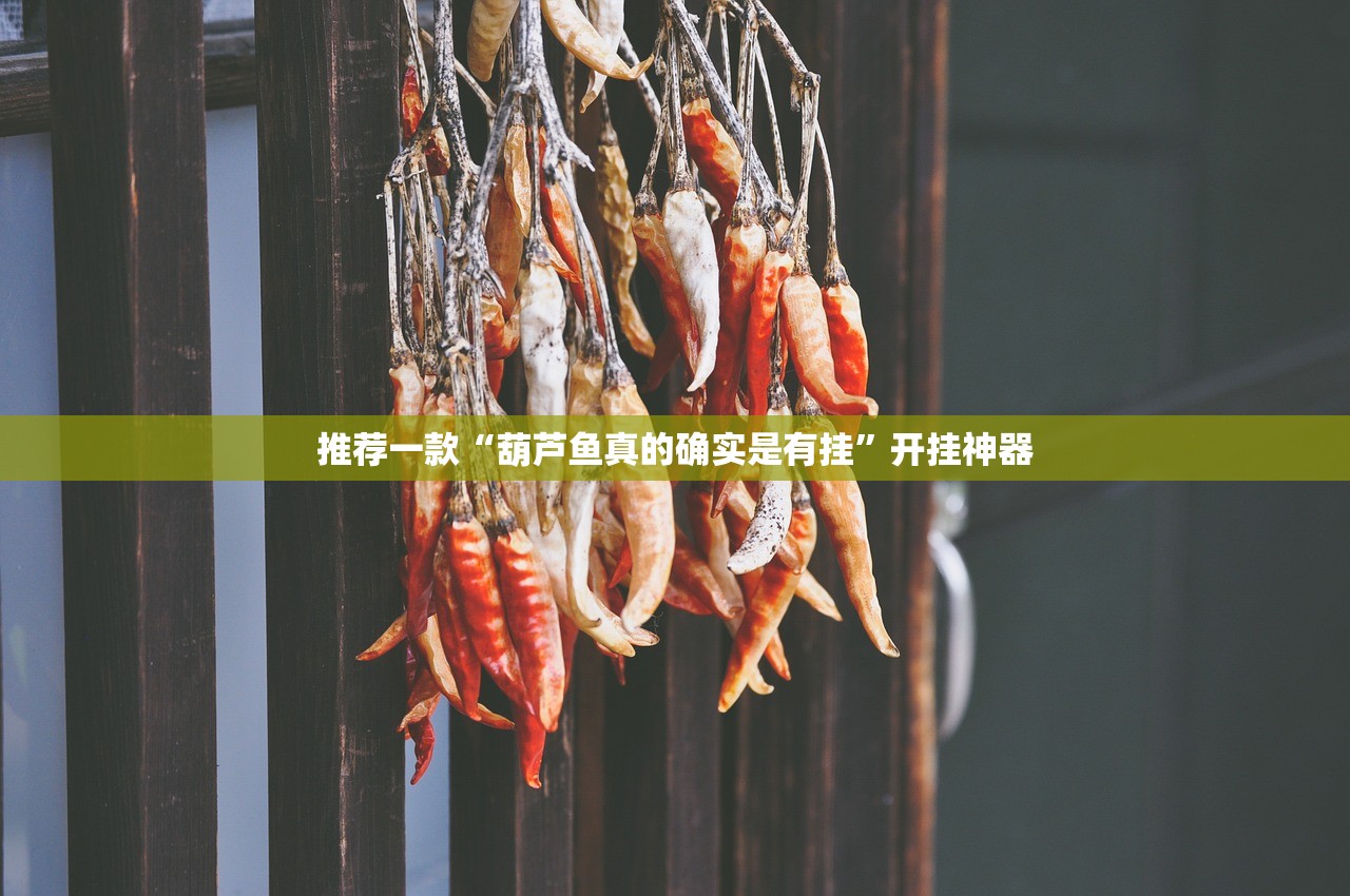 推荐一款“葫芦鱼真的确实是有挂”开挂神器