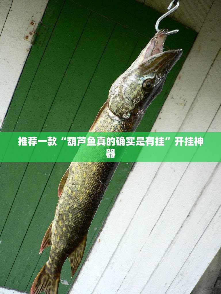 推荐一款“葫芦鱼真的确实是有挂”开挂神器