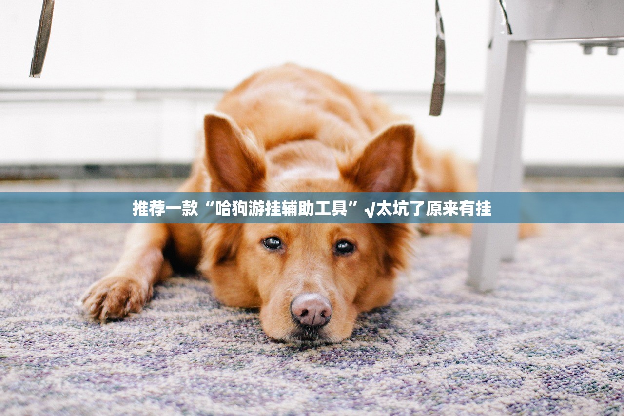 重磅.来袭川麻换三张确实有透视挂(确实有挂)