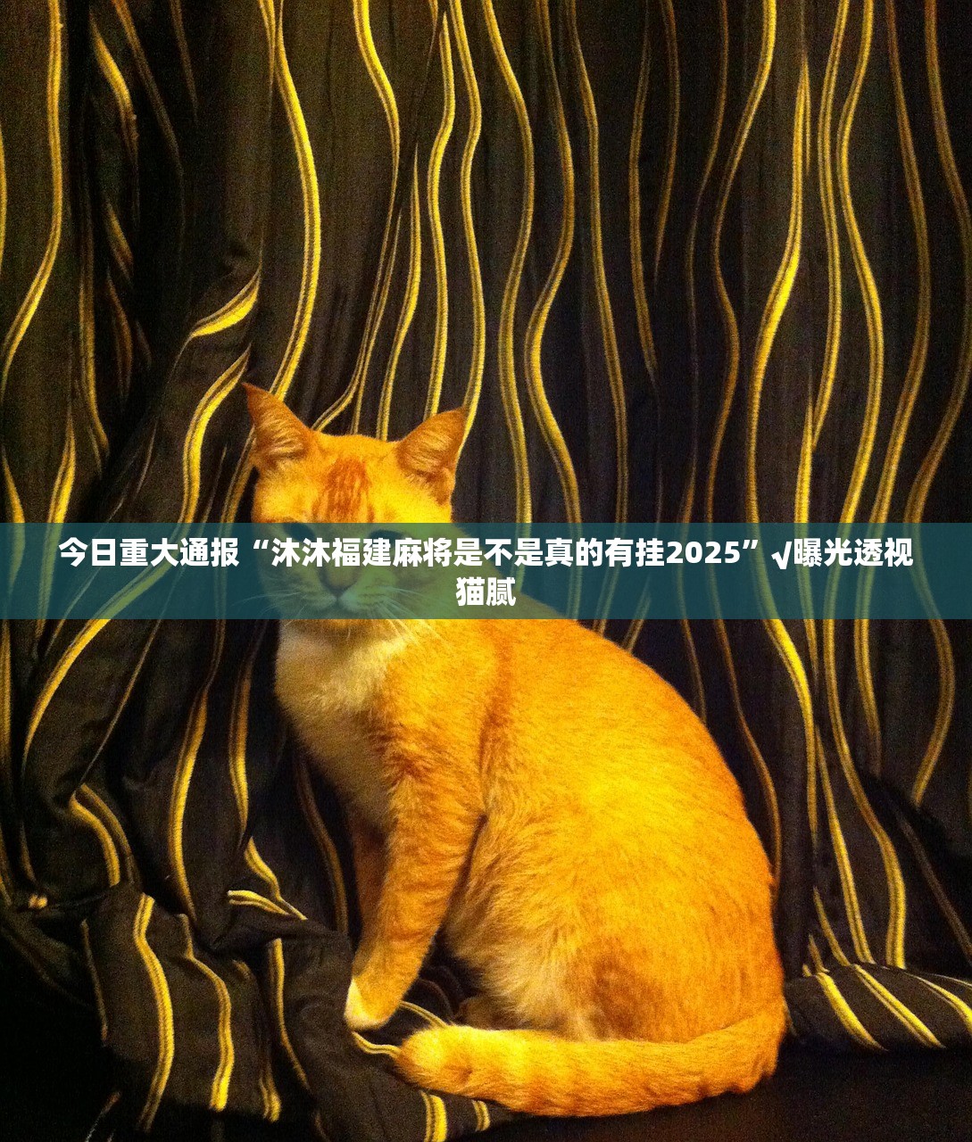 推荐一款三三麻将到底是不是有挂其实确实有挂 推荐一款三三麻将到底是不是有挂其实确实有挂
