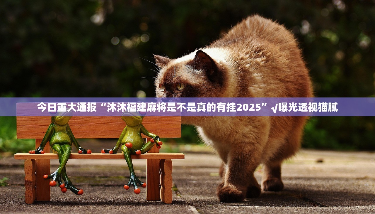 今日重大通报棋娱坊开挂软件方法其实有挂-知乎