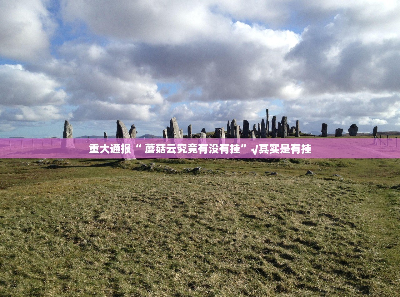 分享实测中至余干怎么开挂可以开挂吗果然有挂