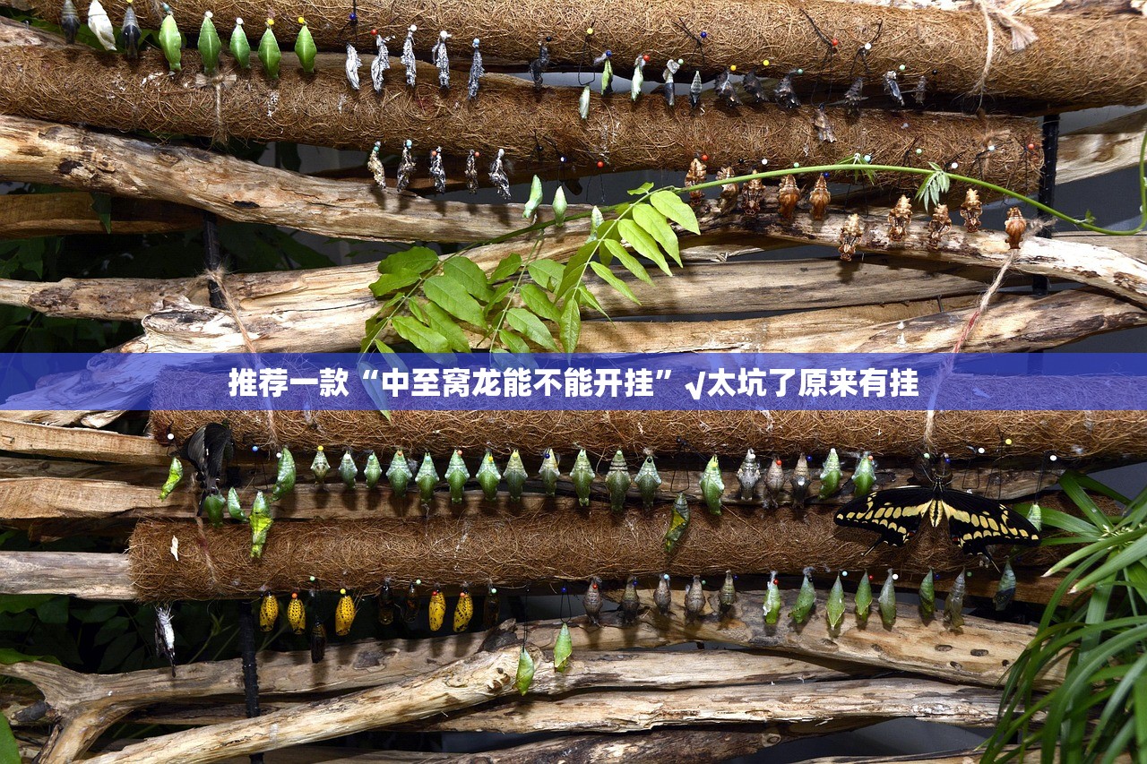 推荐一款十三十三水挂!详细开挂教程√必胜开挂神器