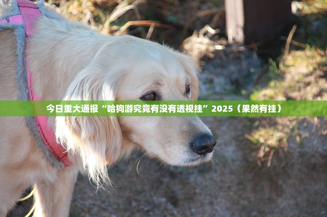 推荐一款十三十三水挂!详细开挂教程√必胜开挂神器