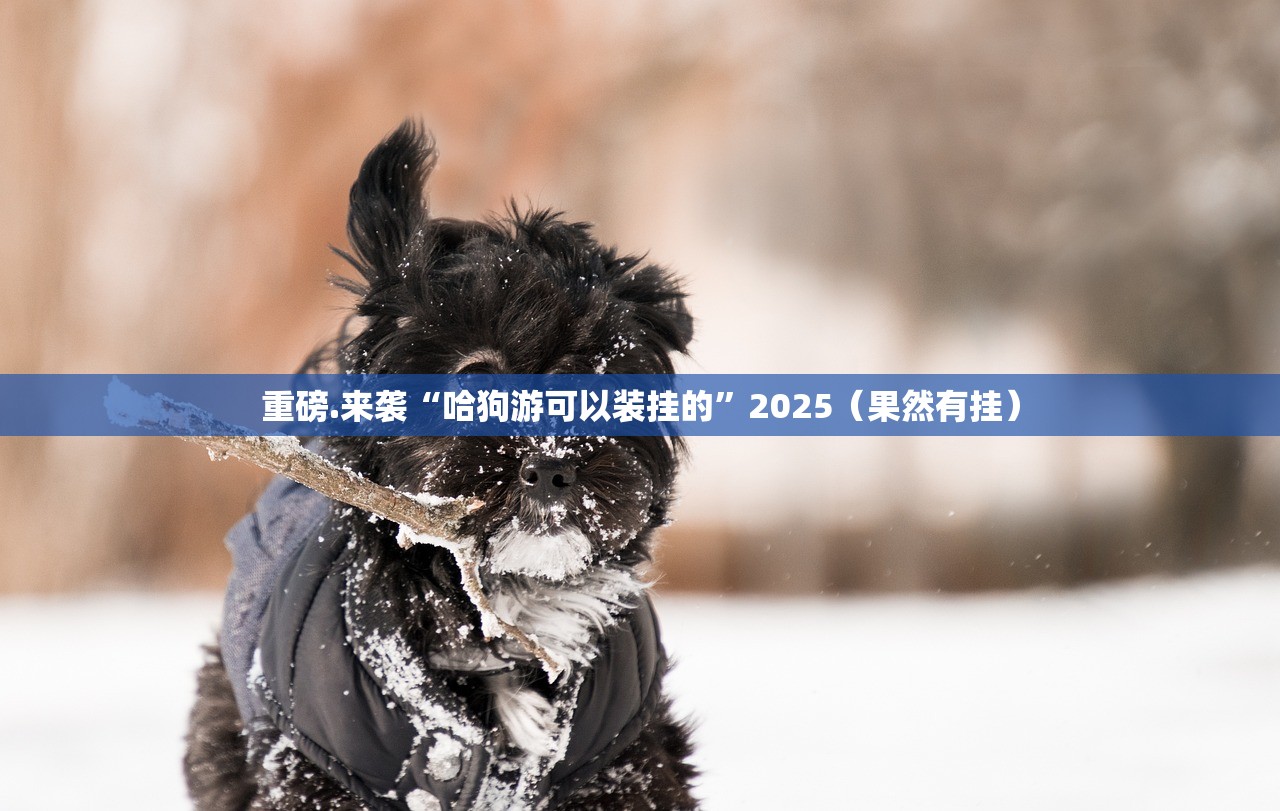 重磅.来袭“哈狗游可以装挂的”2025（果然有挂）