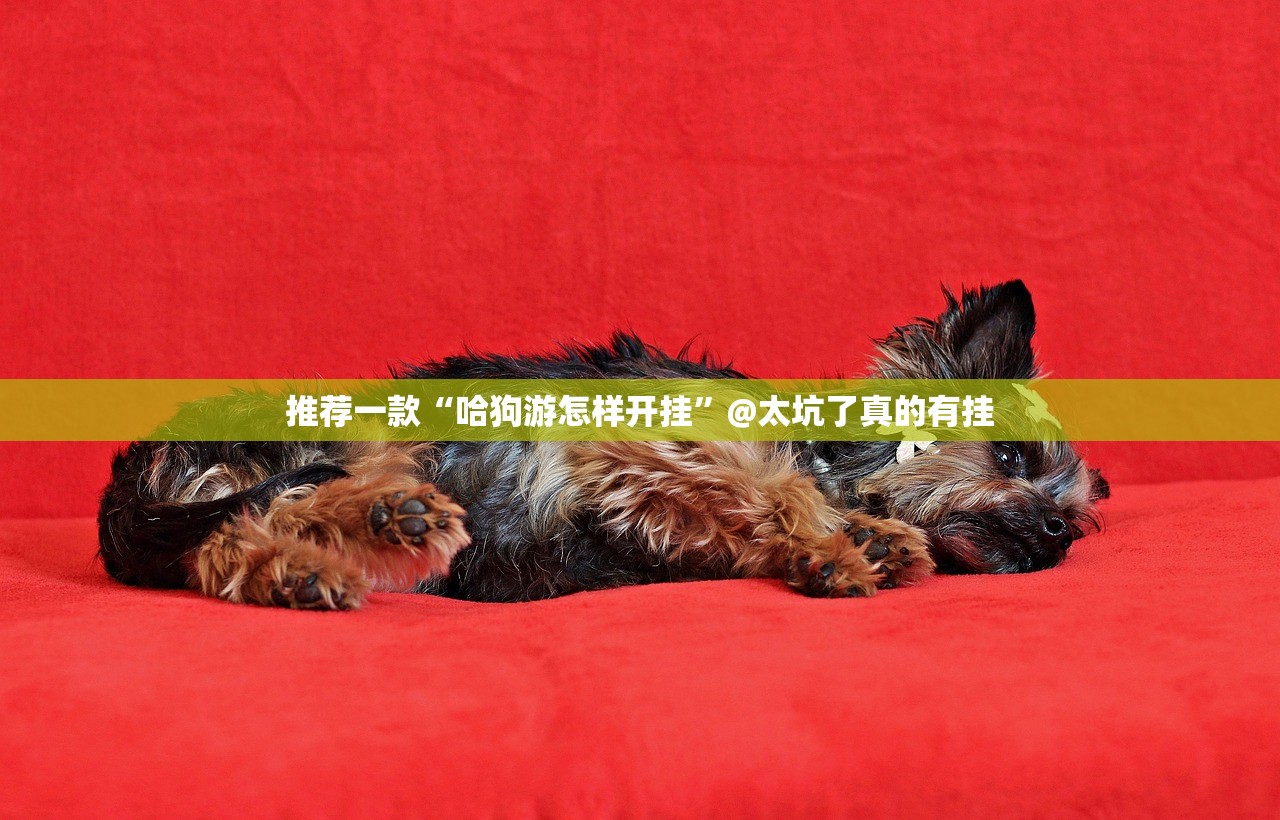 分享实测火神到底有挂吗!√必胜开挂神器 分享实测火神到底有挂吗!√必胜开挂神器