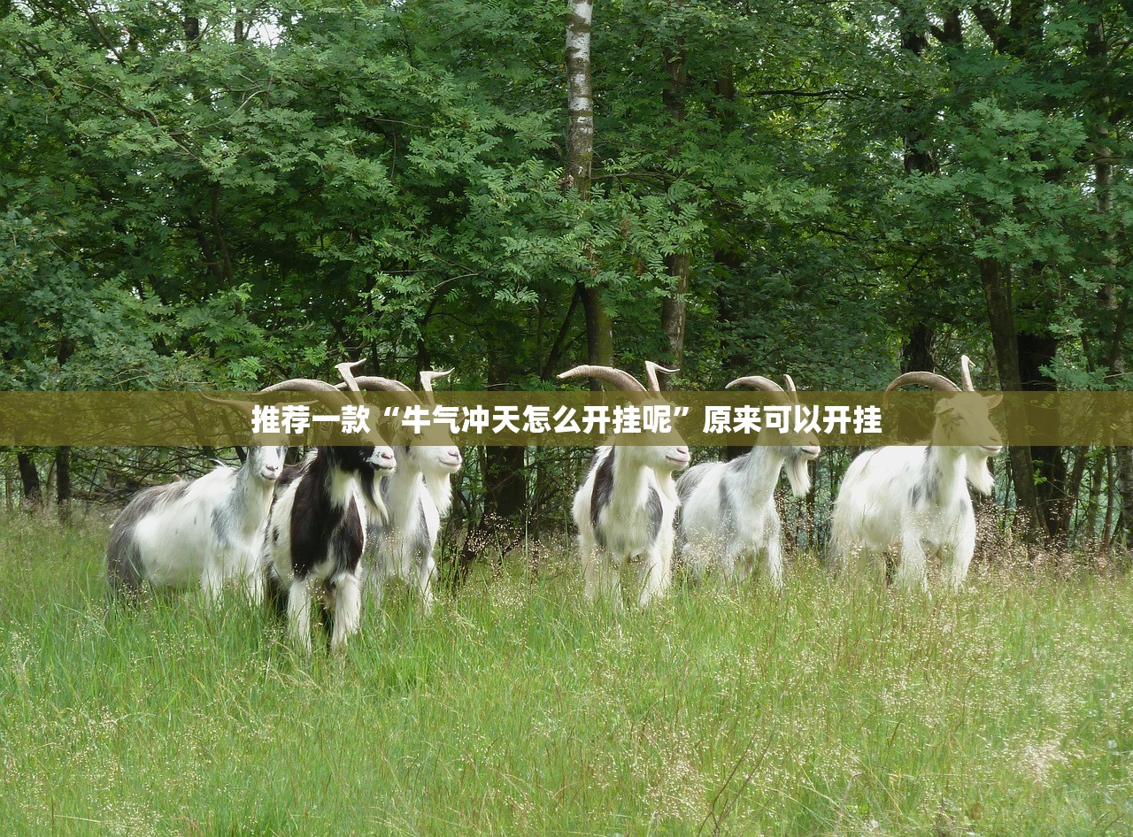 重磅.来袭捞腌菜怎么买挂确实真的有挂实测确实有挂