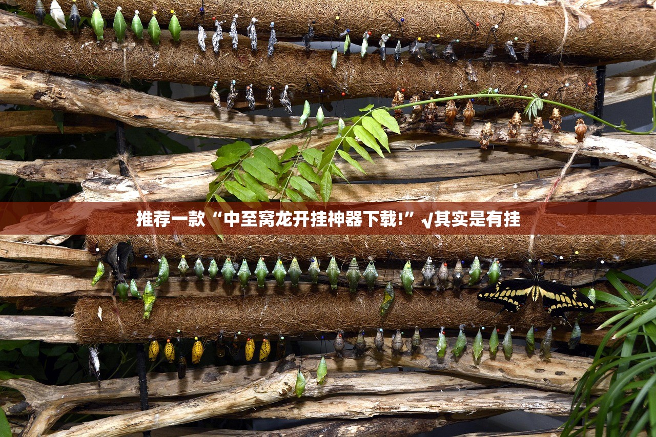 分享实测中至赣牌圈包王助赢神器其实确实有挂