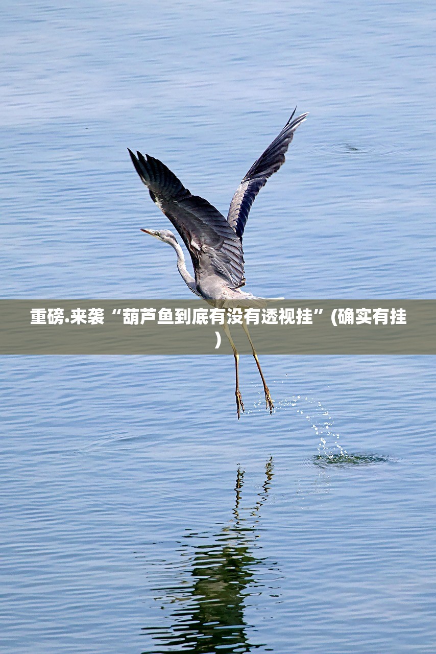 推荐一款波特互娱有挂稳赢方法其实真的确实有挂