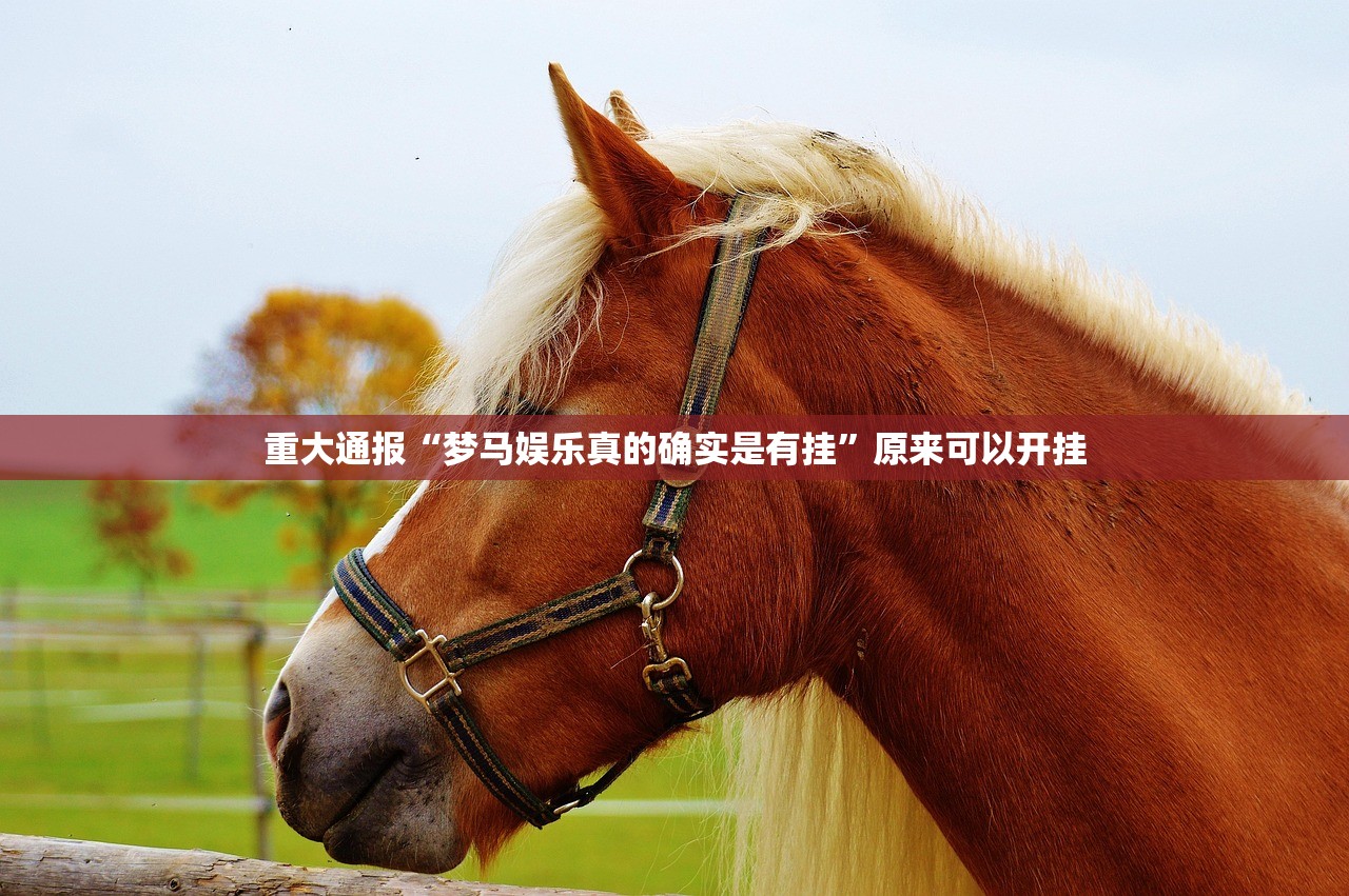 重大通报“梦马娱乐真的确实是有挂”原来可以开挂