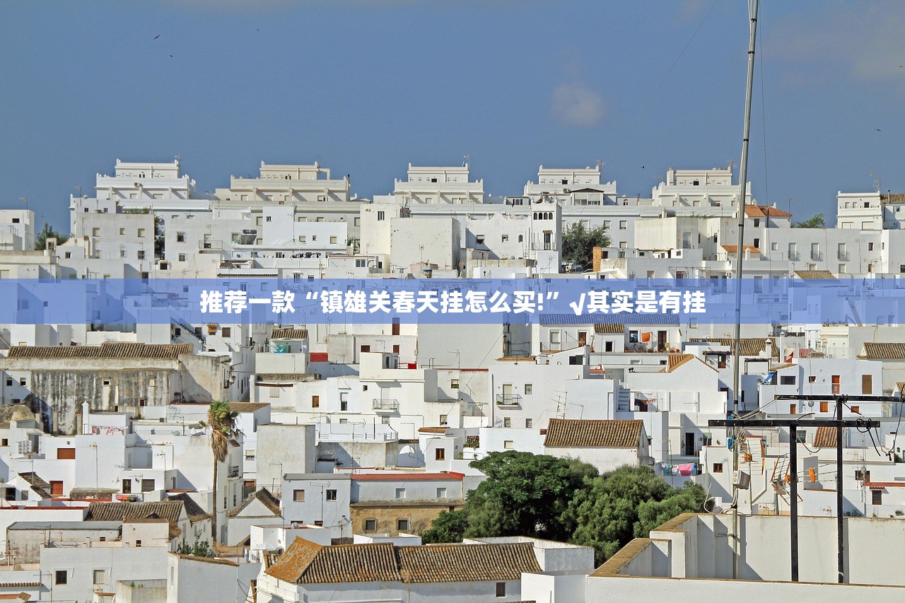 推荐一款“镇雄关春天挂怎么买!”√其实是有挂