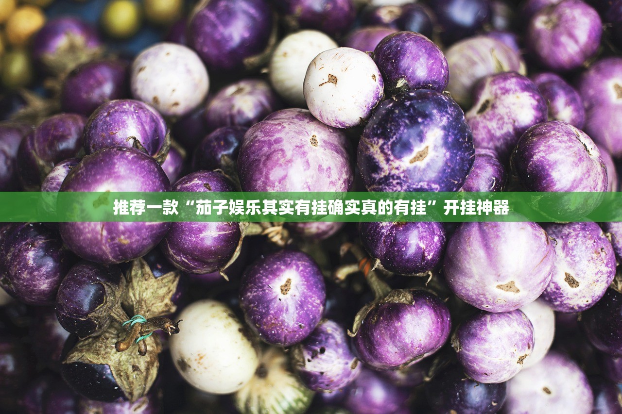 推荐一款“茄子娱乐其实有挂确实真的有挂”开挂神器