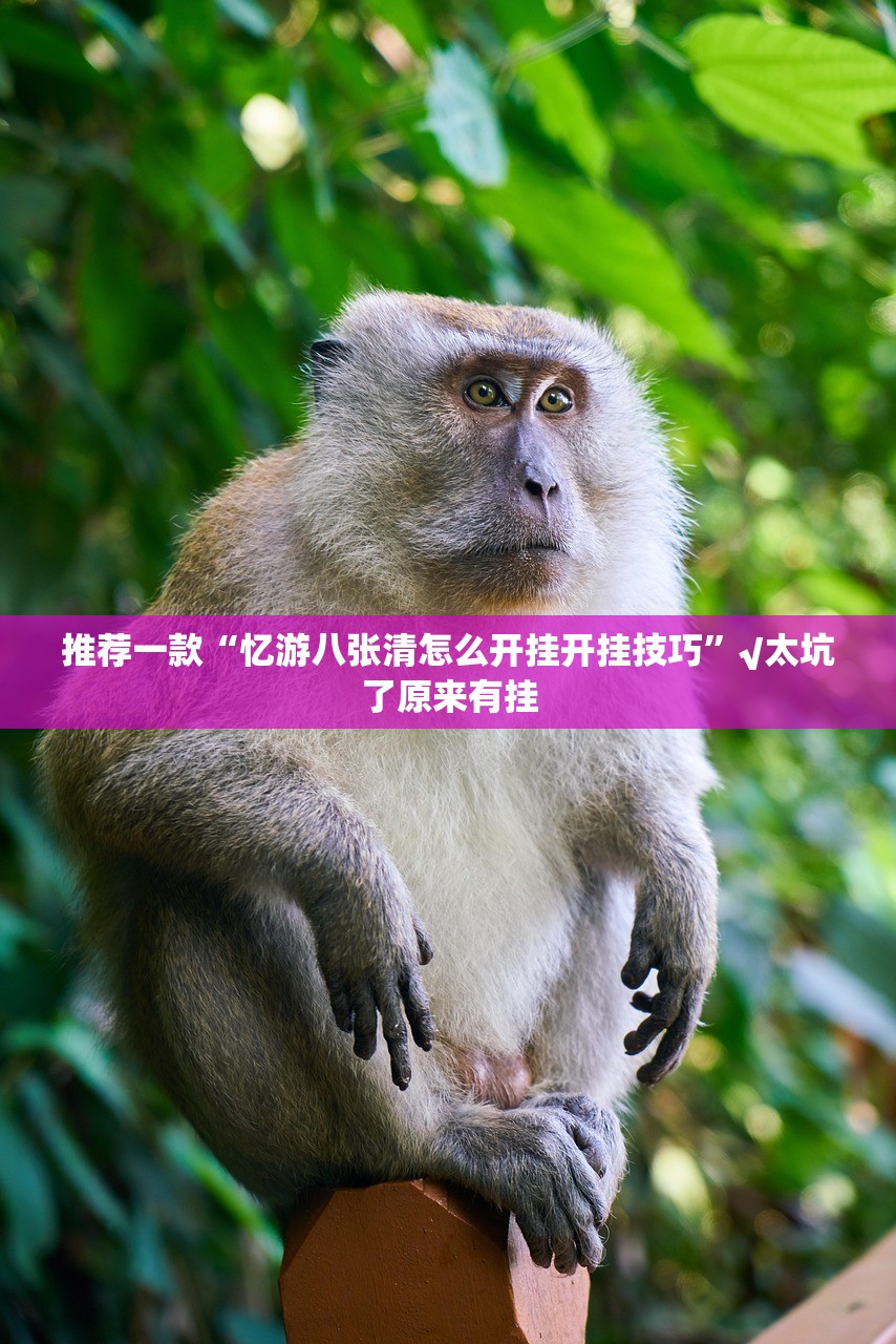 推荐一款茶虞姬是不是真的有挂2025实测确实有挂