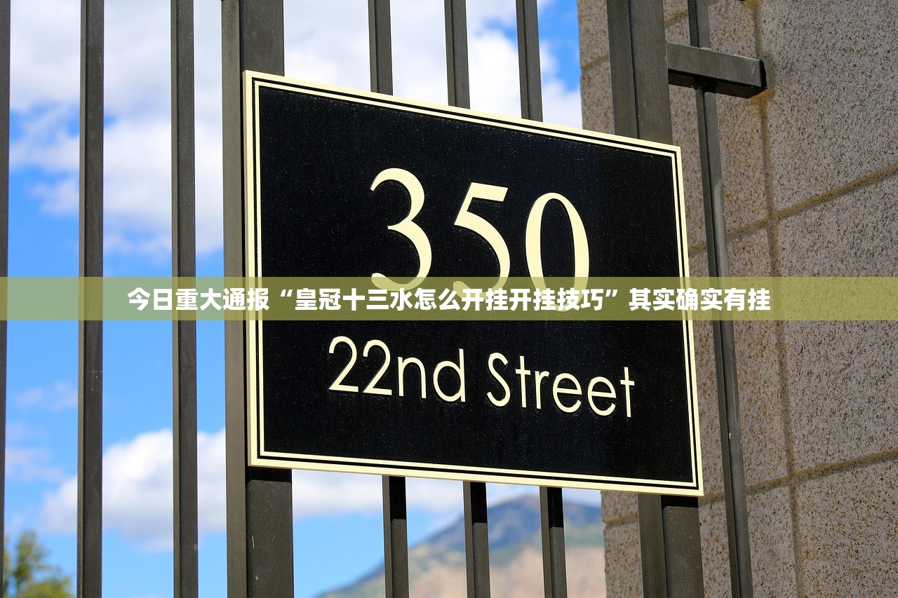 推荐一款新大海互娱挂软件”2025（果然有挂）