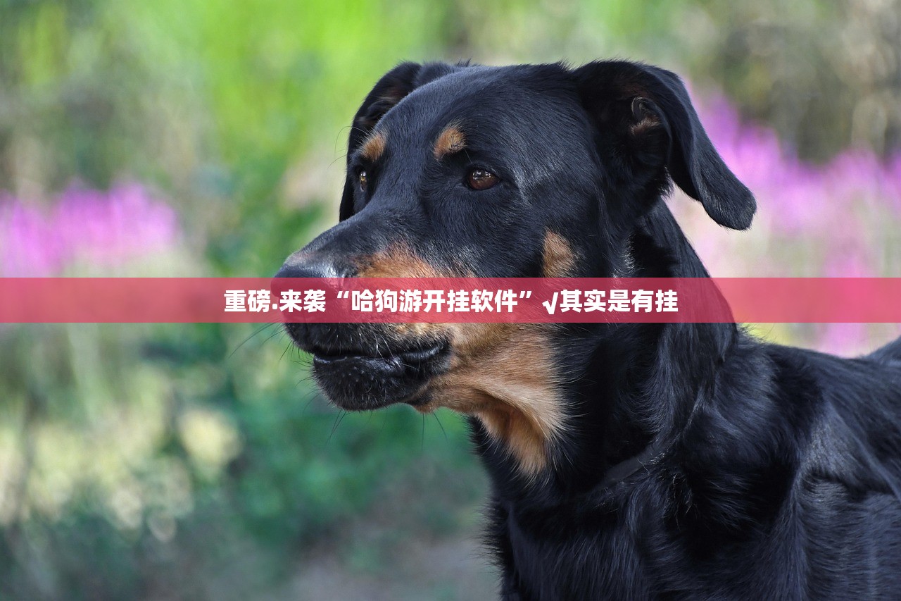 重磅.来袭九天揽月如何开挂(真的有挂)-知乎
