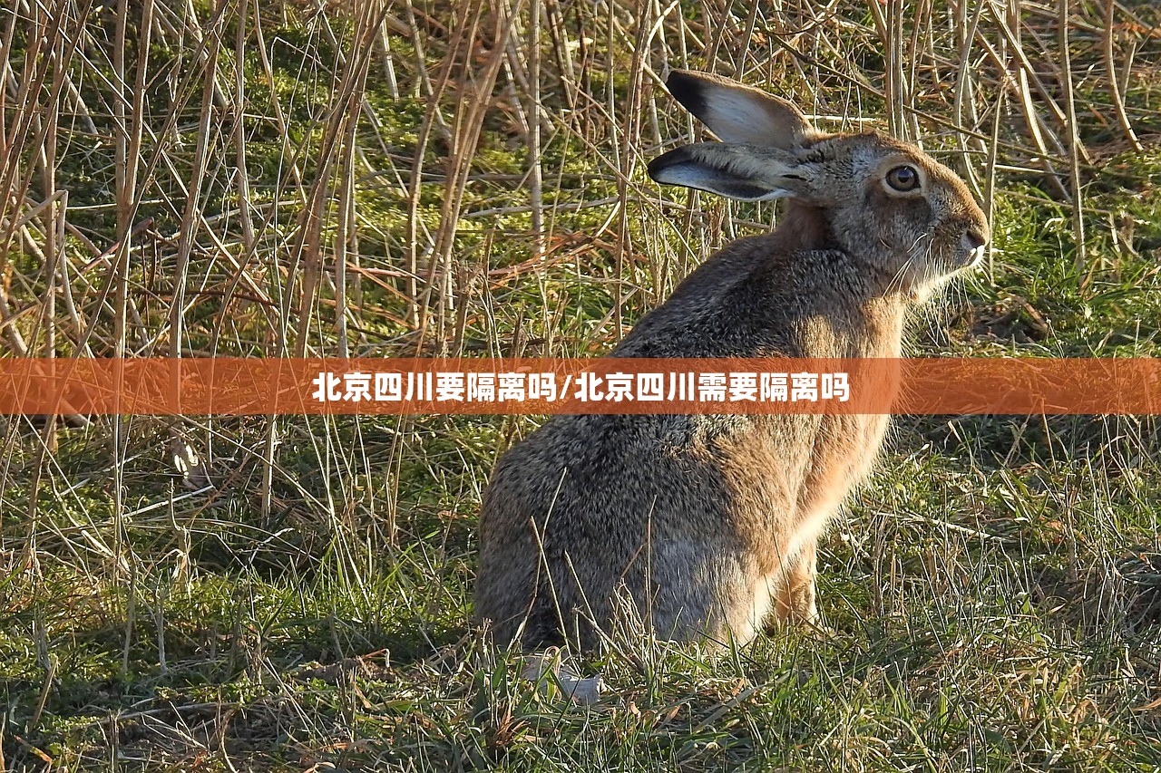 分享实测五彩茶馆的确是可以开挂!确实有挂原来真可以开挂 分享实测五彩茶馆的确是可以开挂!确实有挂原来真可以开挂