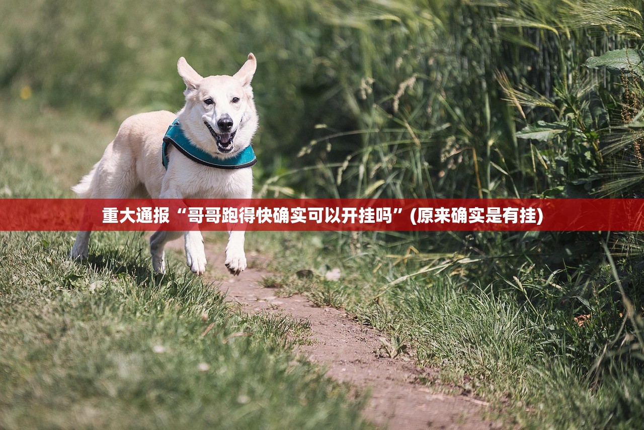 重大通报“哥哥跑得快确实可以开挂吗”(原来确实是有挂)