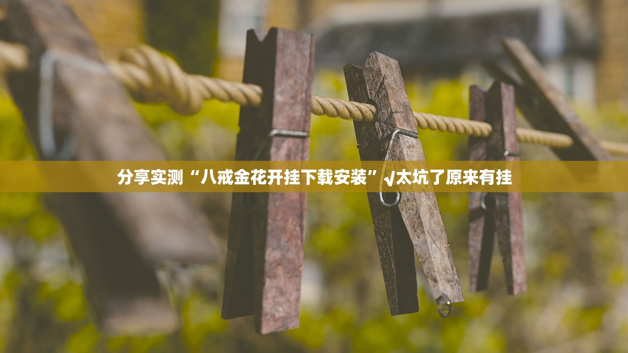 重磅.来袭欢乐联盟辅助透视软件2025（果然有挂）