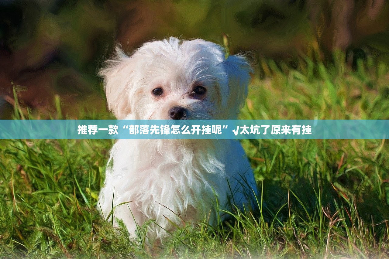 重磅.来袭圣游是不是有挂2025（果然有挂）