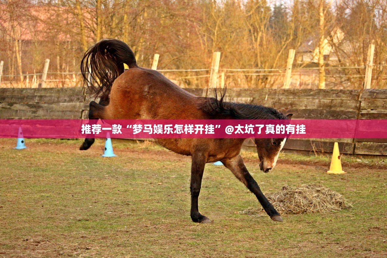 推荐一款“梦马娱乐怎样开挂”@太坑了真的有挂
