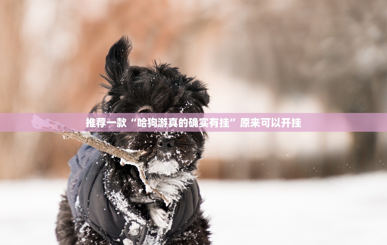 推荐一款“哈狗游真的确实有挂”原来可以开挂