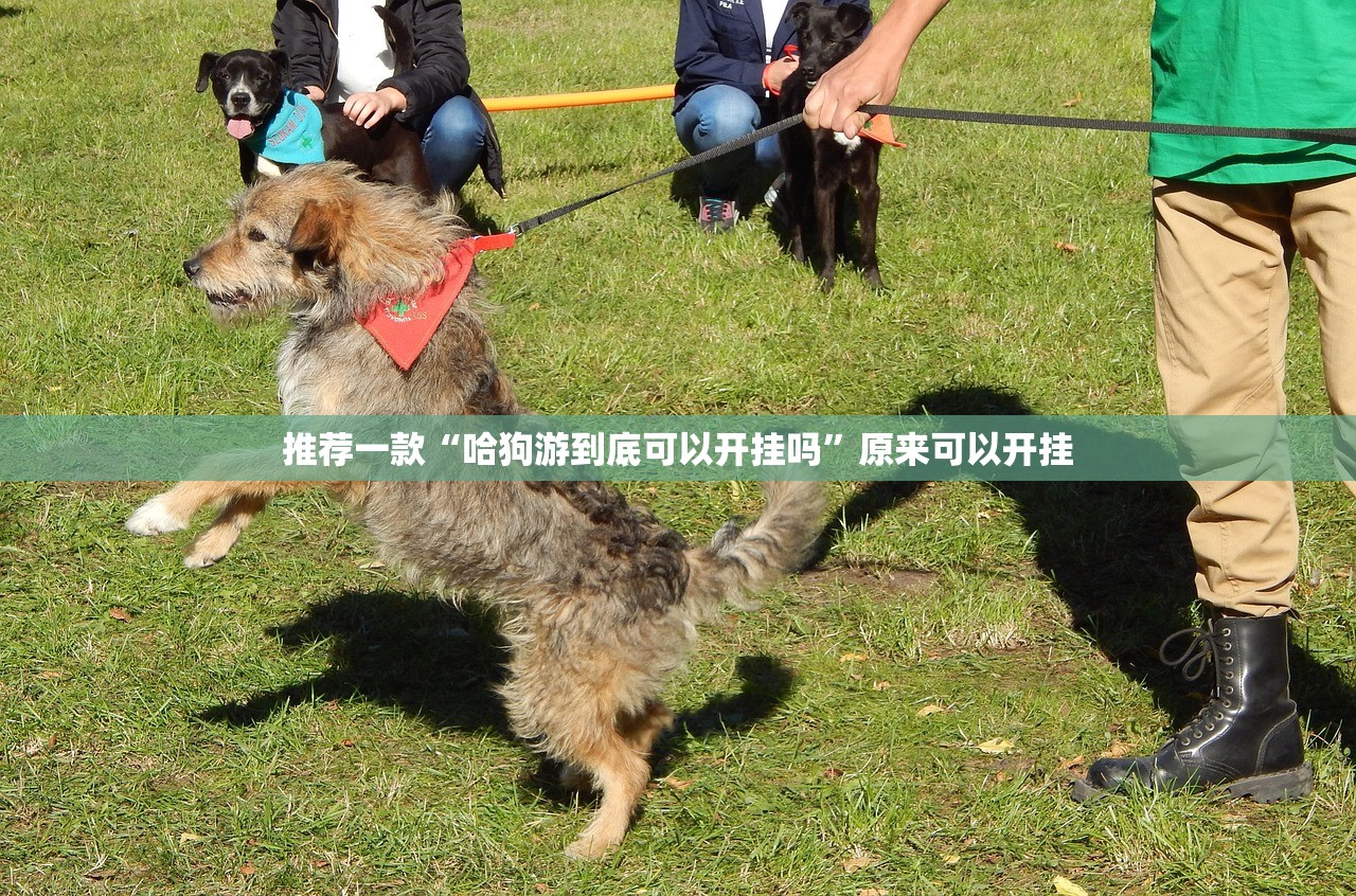 重磅.来袭荔枝竞技其实有挂确实是有挂(确实有挂)