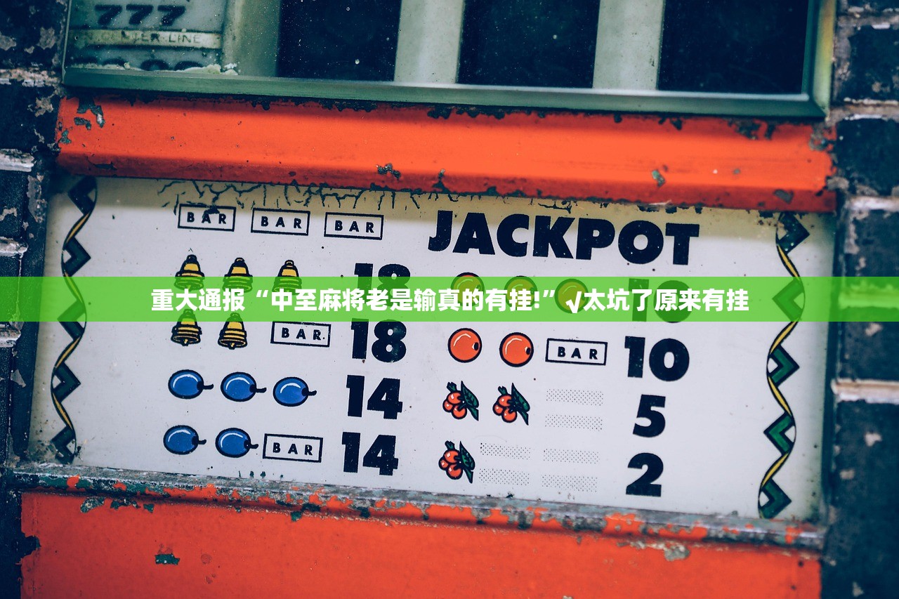 重磅.来袭掌中乐游戏中心可以装挂的2025（果然有挂）