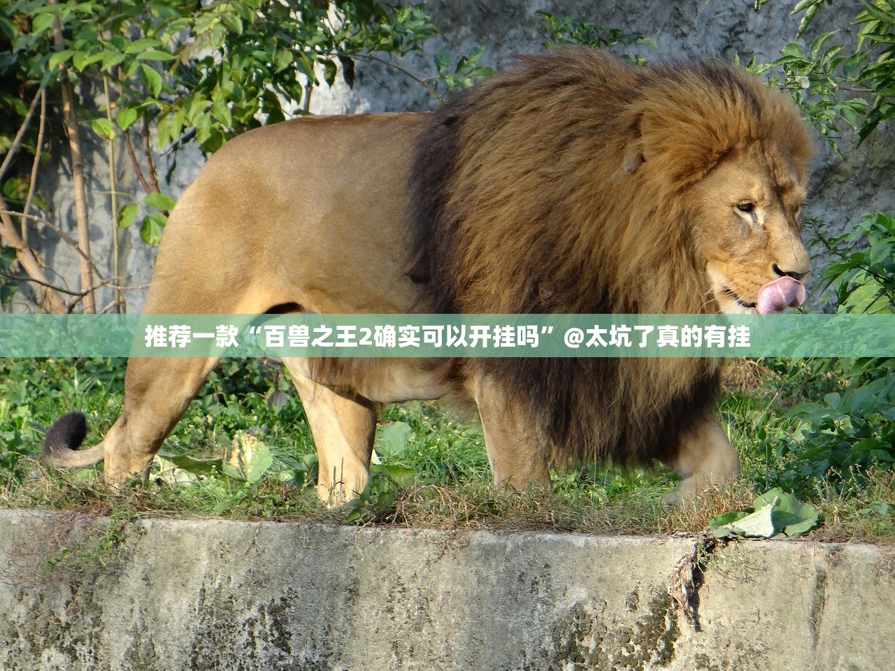 重大通报姚记娱乐大联盟老是输真的有挂!(真的有挂)-知乎