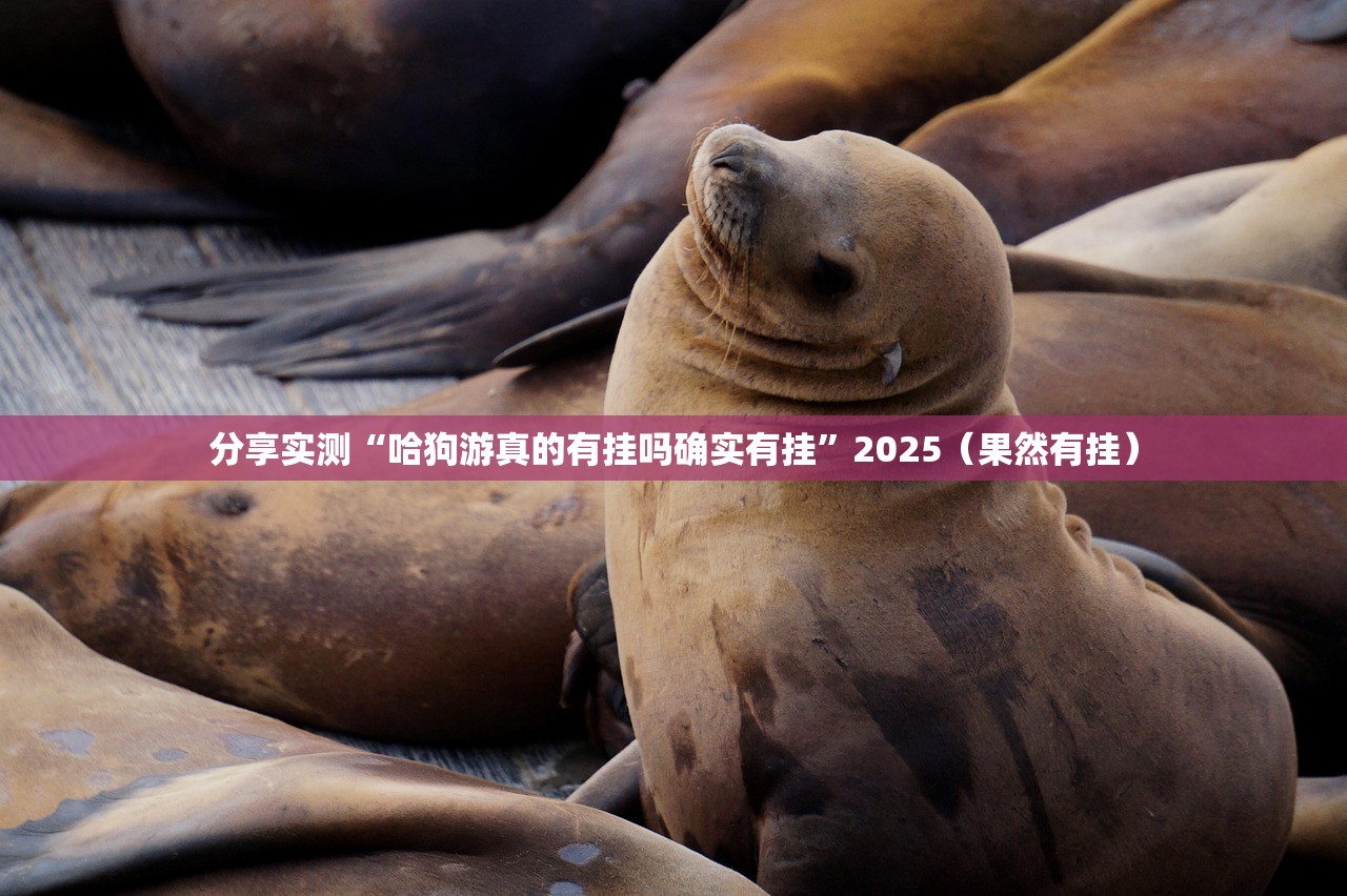 重磅.来袭开心联盟确实有挂吗真的确实有挂