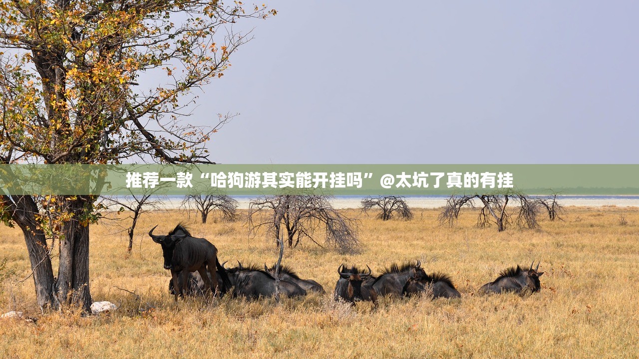 重磅.来袭粤友圈其实确实真的有挂真的确实有挂