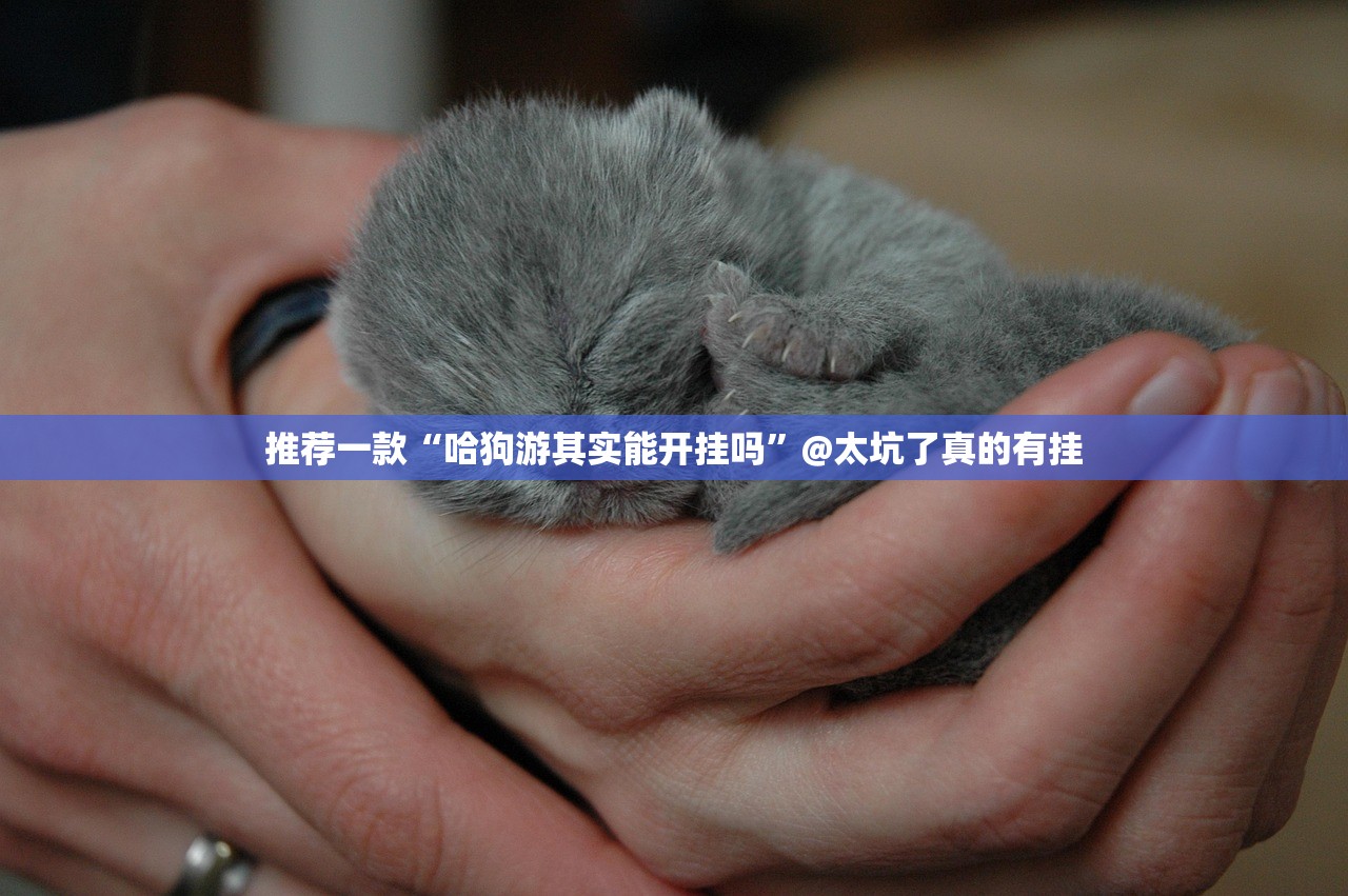 推荐一款“哈狗游其实能开挂吗”@太坑了真的有挂 推荐一款“哈狗游其实能开挂吗”@太坑了真的有挂