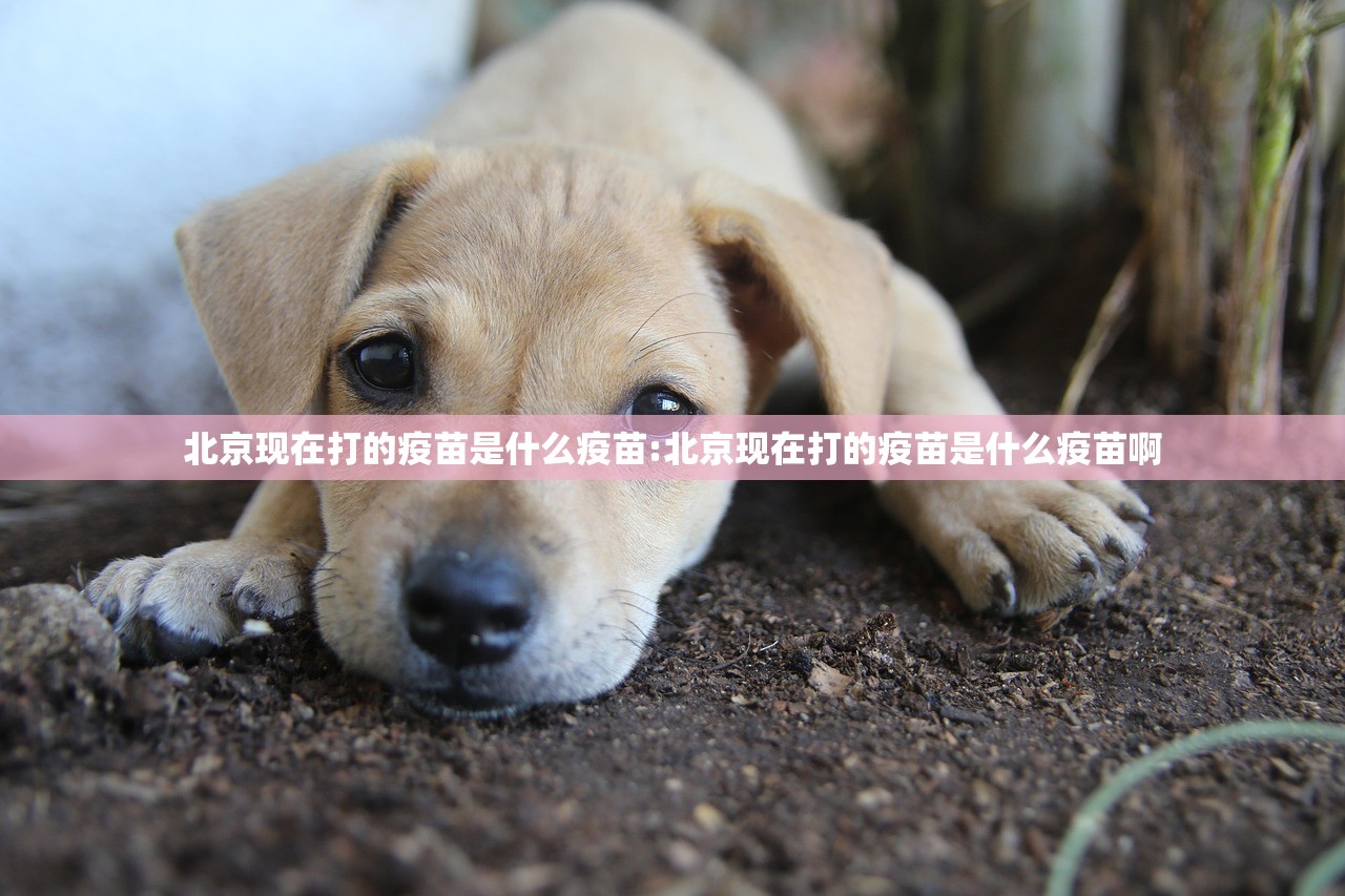 今日重大通报新卡农真的有挂的确有挂(确实有挂) 今日重大通报新卡农真的有挂的确有挂(确实有挂)