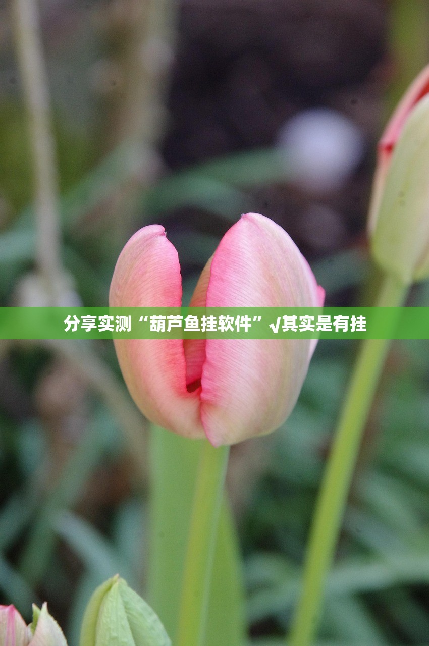 重磅.来袭悠乐竞技“能不能开挂”确实有挂@太坑了真的有挂